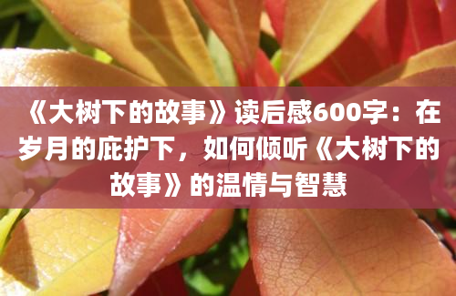 《大树下的故事》读后感600字：在岁月的庇护下，如何倾听《大树下的故事》的温情与智慧