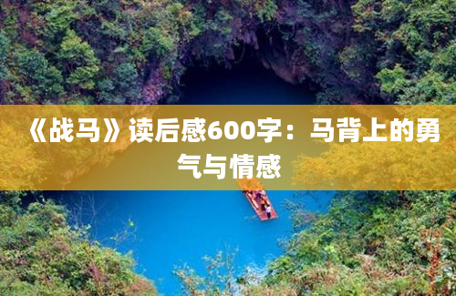 《战马》读后感600字：马背上的勇气与情感