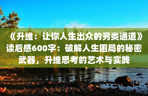 《升维：让你人生出众的另类通道》读后感600字：破解人生困局的秘密武器，升维思考的艺术与实践