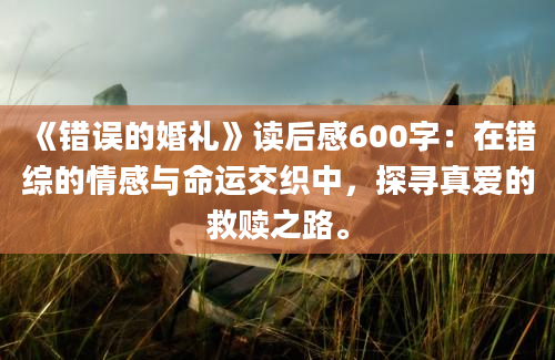 《错误的婚礼》读后感600字：在错综的情感与命运交织中，探寻真爱的救赎之路。