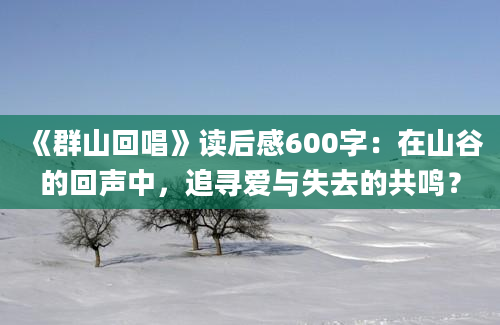 《群山回唱》读后感600字：在山谷的回声中，追寻爱与失去的共鸣？