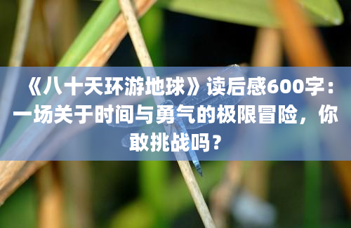 《八十天环游地球》读后感600字：一场关于时间与勇气的极限冒险，你敢挑战吗？