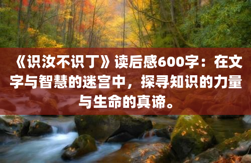 《识汝不识丁》读后感600字：在文字与智慧的迷宫中，探寻知识的力量与生命的真谛。