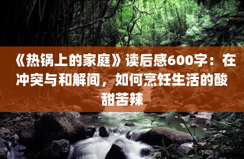 《热锅上的家庭》读后感600字：在冲突与和解间，如何烹饪生活的酸甜苦辣