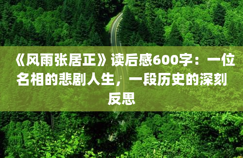 《风雨张居正》读后感600字：一位名相的悲剧人生，一段历史的深刻反思