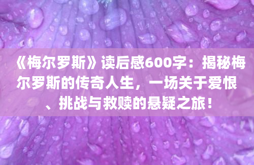 《梅尔罗斯》读后感600字：揭秘梅尔罗斯的传奇人生，一场关于爱恨、挑战与救赎的悬疑之旅！