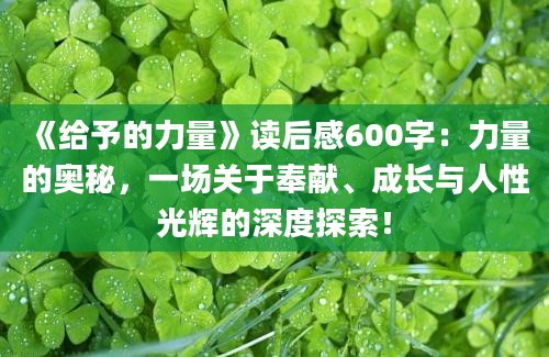 《给予的力量》读后感600字：力量的奥秘，一场关于奉献、成长与人性光辉的深度探索！