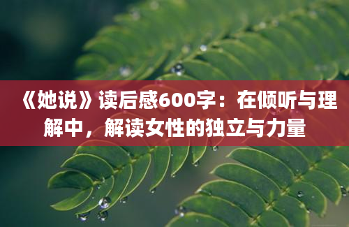 《她说》读后感600字：在倾听与理解中，解读女性的独立与力量