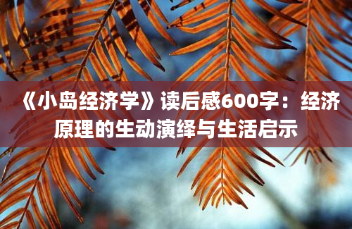 《小岛经济学》读后感600字：经济原理的生动演绎与生活启示