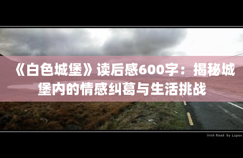 《白色城堡》读后感600字：揭秘城堡内的情感纠葛与生活挑战