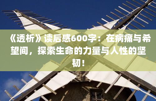 《透析》读后感600字：在病痛与希望间，探索生命的力量与人性的坚韧！