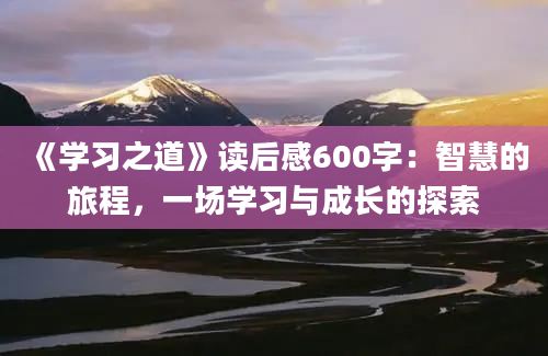 《学习之道》读后感600字：智慧的旅程，一场学习与成长的探索