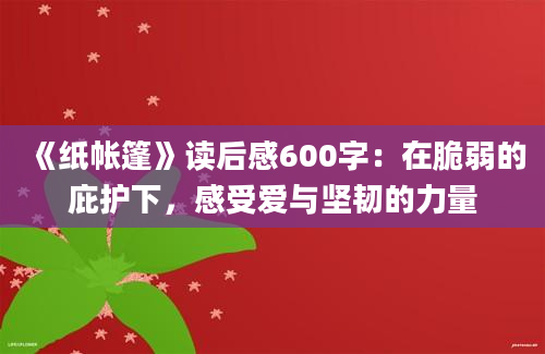 《纸帐篷》读后感600字：在脆弱的庇护下，感受爱与坚韧的力量