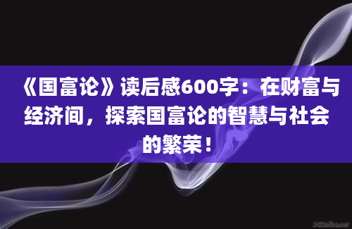 《国富论》读后感600字：在财富与经济间，探索国富论的智慧与社会的繁荣！