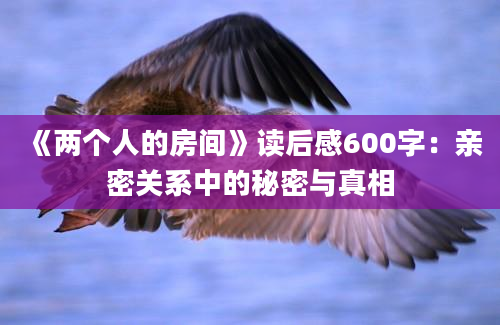 《两个人的房间》读后感600字：亲密关系中的秘密与真相