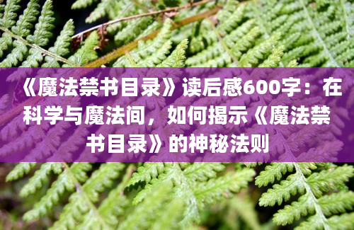 《魔法禁书目录》读后感600字：在科学与魔法间，如何揭示《魔法禁书目录》的神秘法则