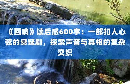 《回响》读后感600字：一部扣人心弦的悬疑剧，探索声音与真相的复杂交织