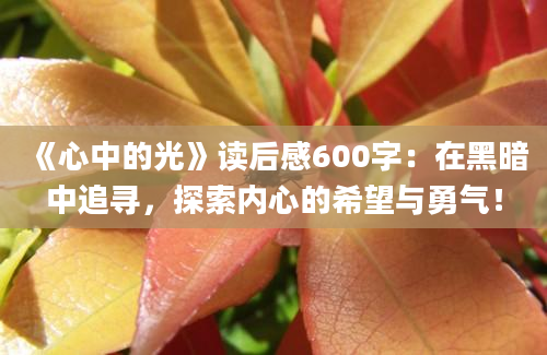 《心中的光》读后感600字：在黑暗中追寻，探索内心的希望与勇气！