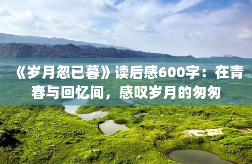 《岁月忽已暮》读后感600字：在青春与回忆间，感叹岁月的匆匆