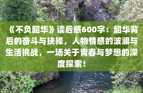 《不负韶华》读后感600字：韶华背后的奋斗与抉择，人物情感的波澜与生活挑战，一场关于青春与梦想的深度探索！