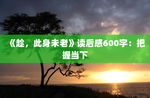 《趁，此身未老》读后感600字：把握当下