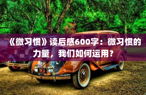 《微习惯》读后感600字：微习惯的力量，我们如何运用？