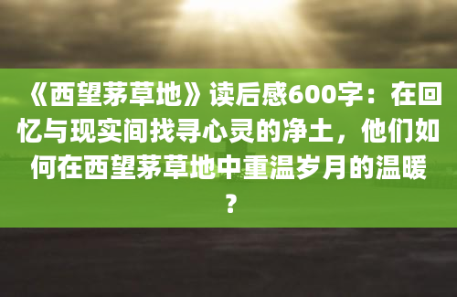 《西望茅草地》读后感600字：在回忆与现实间找寻心灵的净土，他们如何在西望茅草地中重温岁月的温暖？