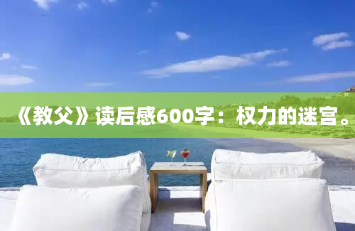 《教父》读后感600字：权力的迷宫。