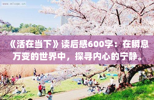 《活在当下》读后感600字：在瞬息万变的世界中，探寻内心的宁静。