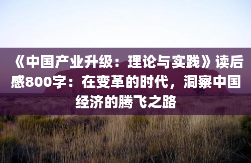 《中国产业升级：理论与实践》读后感800字：在变革的时代，洞察中国经济的腾飞之路