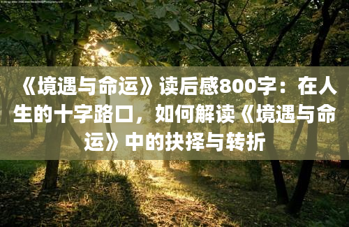 《境遇与命运》读后感800字：在人生的十字路口，如何解读《境遇与命运》中的抉择与转折