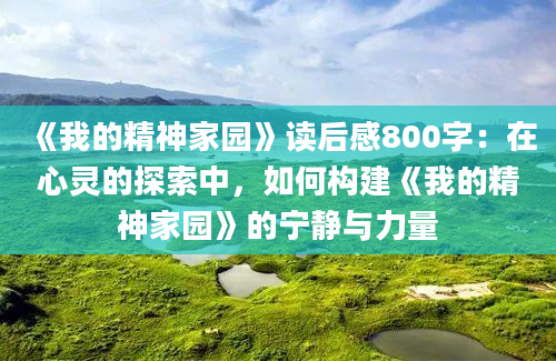 《我的精神家园》读后感800字：在心灵的探索中，如何构建《我的精神家园》的宁静与力量