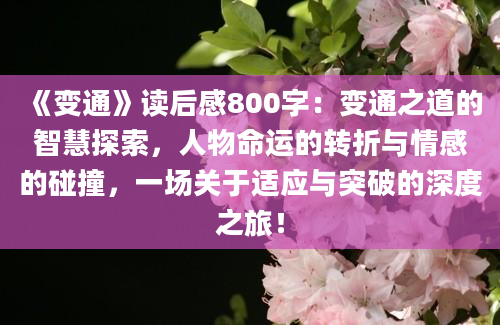 《变通》读后感800字：变通之道的智慧探索，人物命运的转折与情感的碰撞，一场关于适应与突破的深度之旅！