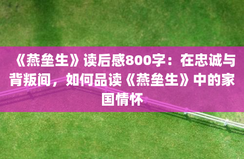 《燕垒生》读后感800字：在忠诚与背叛间，如何品读《燕垒生》中的家国情怀