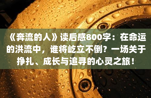 《奔流的人》读后感800字：在命运的洪流中，谁将屹立不倒？一场关于挣扎、成长与追寻的心灵之旅！