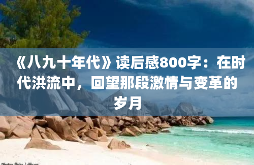 《八九十年代》读后感800字：在时代洪流中，回望那段激情与变革的岁月