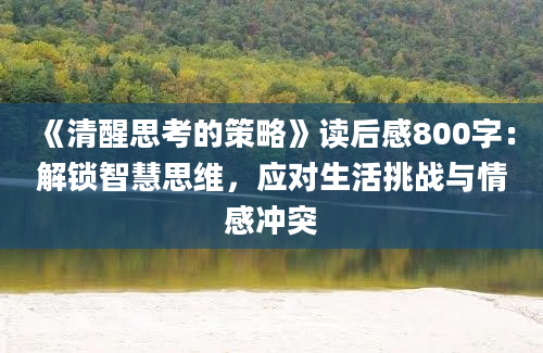 《清醒思考的策略》读后感800字：解锁智慧思维，应对生活挑战与情感冲突