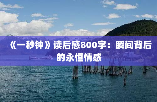 《一秒钟》读后感800字：瞬间背后的永恒情感