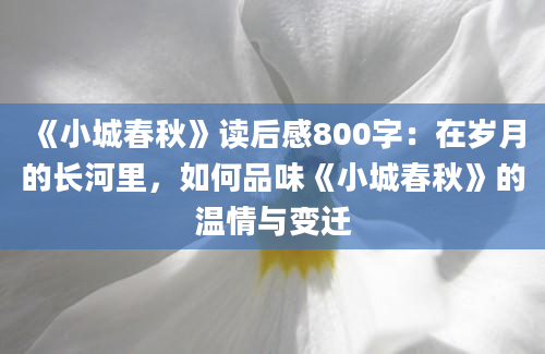 《小城春秋》读后感800字：在岁月的长河里，如何品味《小城春秋》的温情与变迁