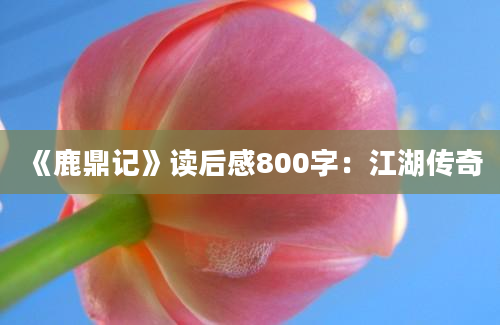 《鹿鼎记》读后感800字：江湖传奇