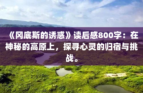 《冈底斯的诱惑》读后感800字：在神秘的高原上，探寻心灵的归宿与挑战。