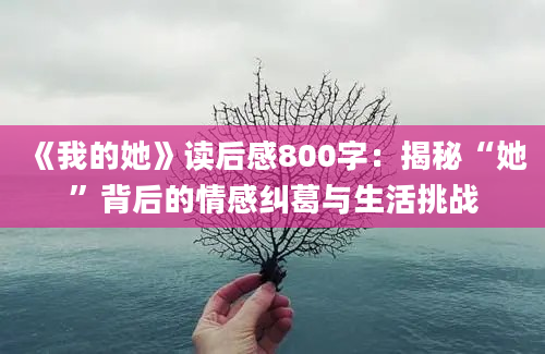 《我的她》读后感800字：揭秘“她”背后的情感纠葛与生活挑战