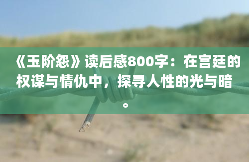 《玉阶怨》读后感800字：在宫廷的权谋与情仇中，探寻人性的光与暗。