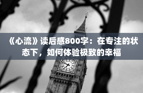 《心流》读后感800字：在专注的状态下，如何体验极致的幸福