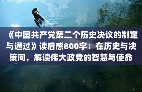 《中国共产党第二个历史决议的制定与通过》读后感800字：在历史与决策间，解读伟大政党的智慧与使命