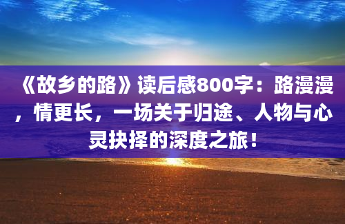 《故乡的路》读后感800字：路漫漫，情更长，一场关于归途、人物与心灵抉择的深度之旅！