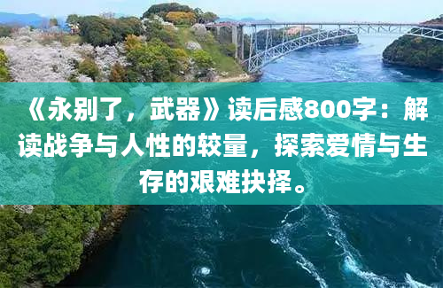 《永别了，武器》读后感800字：解读战争与人性的较量，探索爱情与生存的艰难抉择。