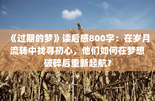 《过期的梦》读后感800字：在岁月流转中找寻初心，他们如何在梦想破碎后重新起航？