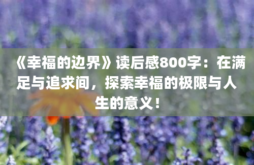 《幸福的边界》读后感800字：在满足与追求间，探索幸福的极限与人生的意义！