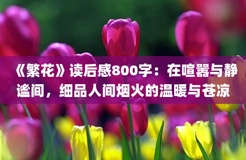 《繁花》读后感800字：在喧嚣与静谧间，细品人间烟火的温暖与苍凉